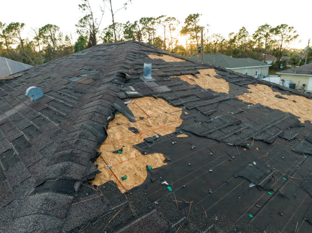 Best Roof Moss and Algae Removal  in Falfurrias, TX